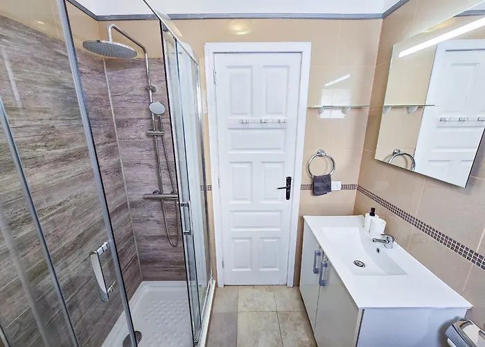 Cactus - 코스타델실렌시오