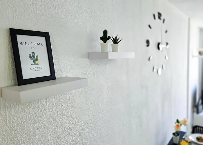 Cactus - * Costa Del Silencio