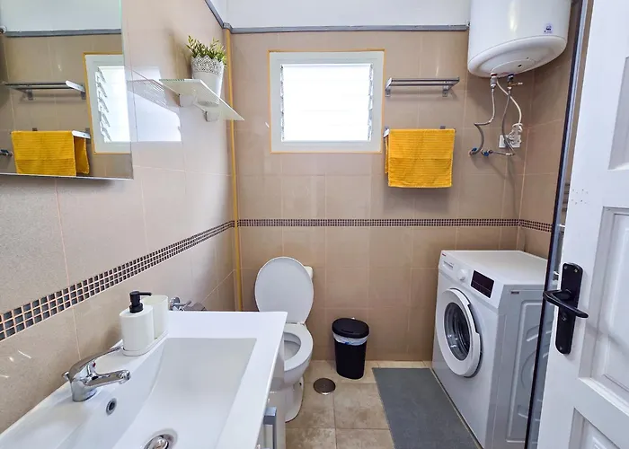 Cactus - Costa Del Silencio